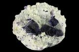 Purple-Blue Cubic Fluorite Crystals - Inner Mongolia #146931-1